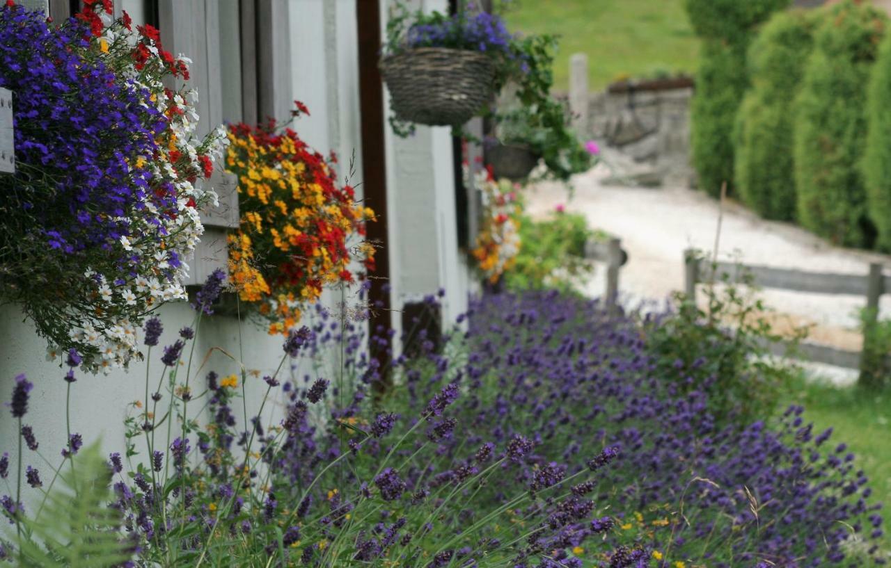 Lavendowo Hotel Piechowice  Exterior photo